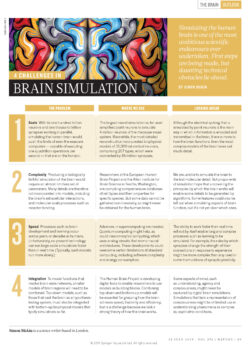 Four Challenges In Brain Simulation